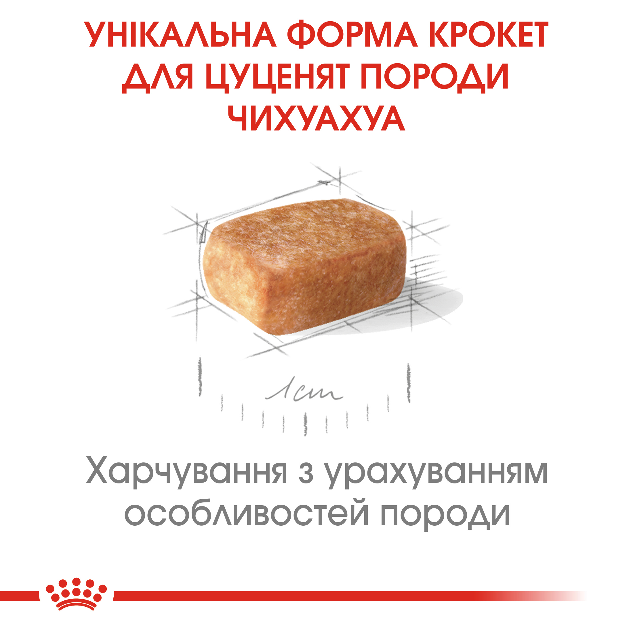 Сухий корм Royal Canin Chihuahua Puppy для цуценят чихухуа 500г
