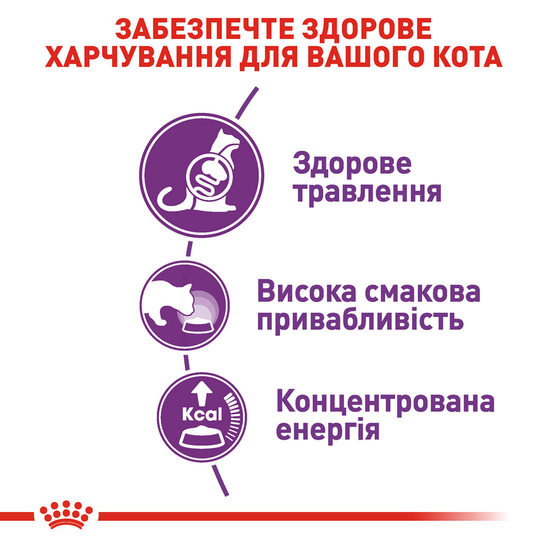 Сухий корм Royal Canin Sensible 33 для котів з чутливою травною системою 400 г