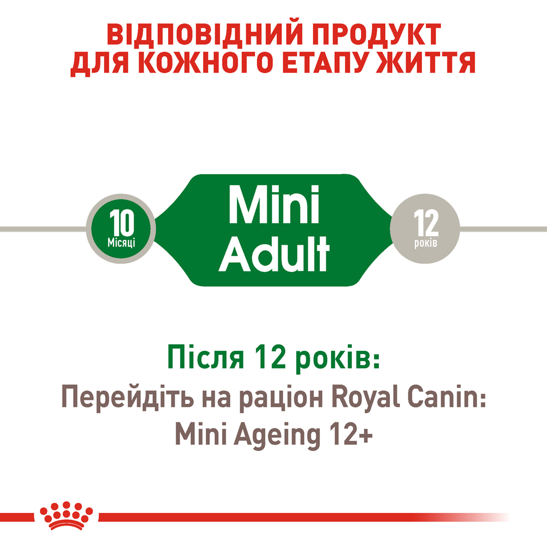 Вологий корм Royal Canin Mini Adult для собак дрібних порід