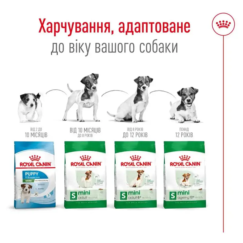 Акція Сухий корм Royal Canin Mini Adult для собак міні порід 1,6 кг+400 г