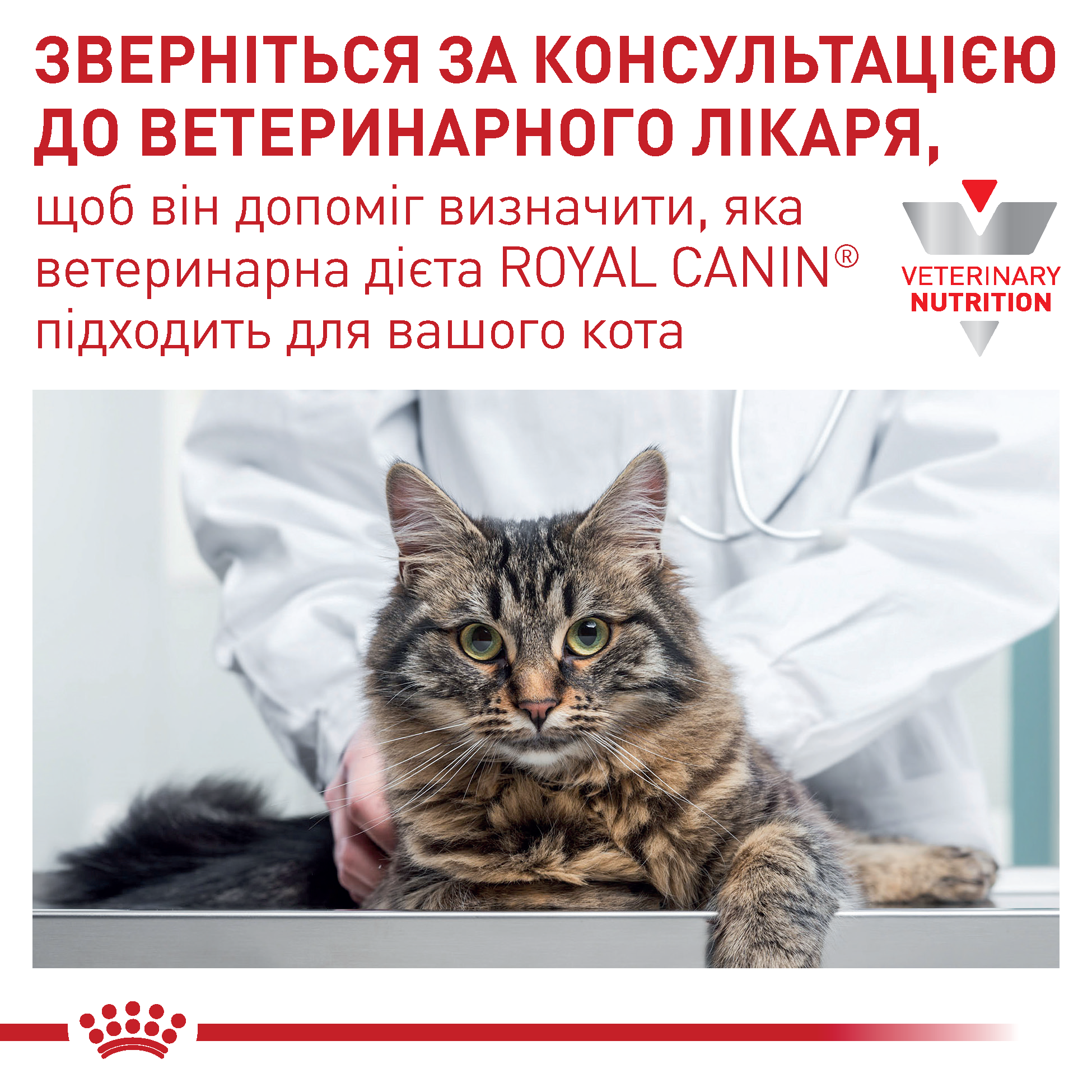 Вологий корм Royal Canin Renal Fish для котів з нирковою недостатністю з рибою