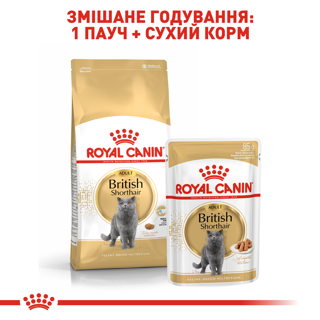 Сухий корм Royal Canin British Shorthair для котів породи Британська короткошерстна 4кг