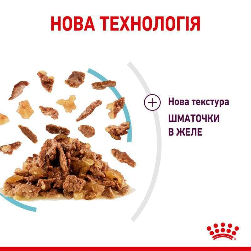 Вологий корм Royal Canin Sensory Feel in Jelly для котів в желе-сенсорна формула з апетитною текстурою для вибагливих улюбленців 85 г
