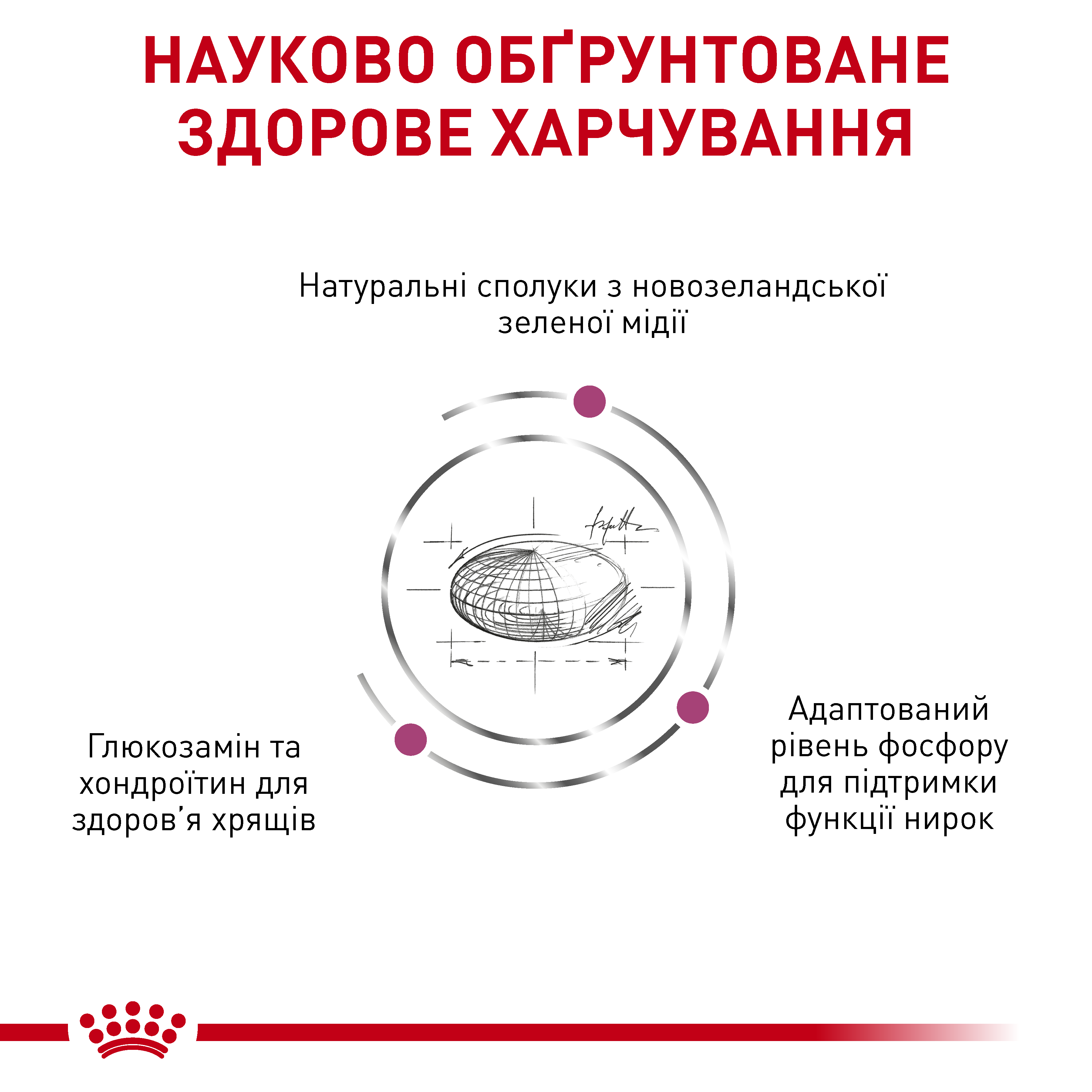 Сухий корм Royal Canin Mobility Feline для котів при захворюваннях суглобів 2кг