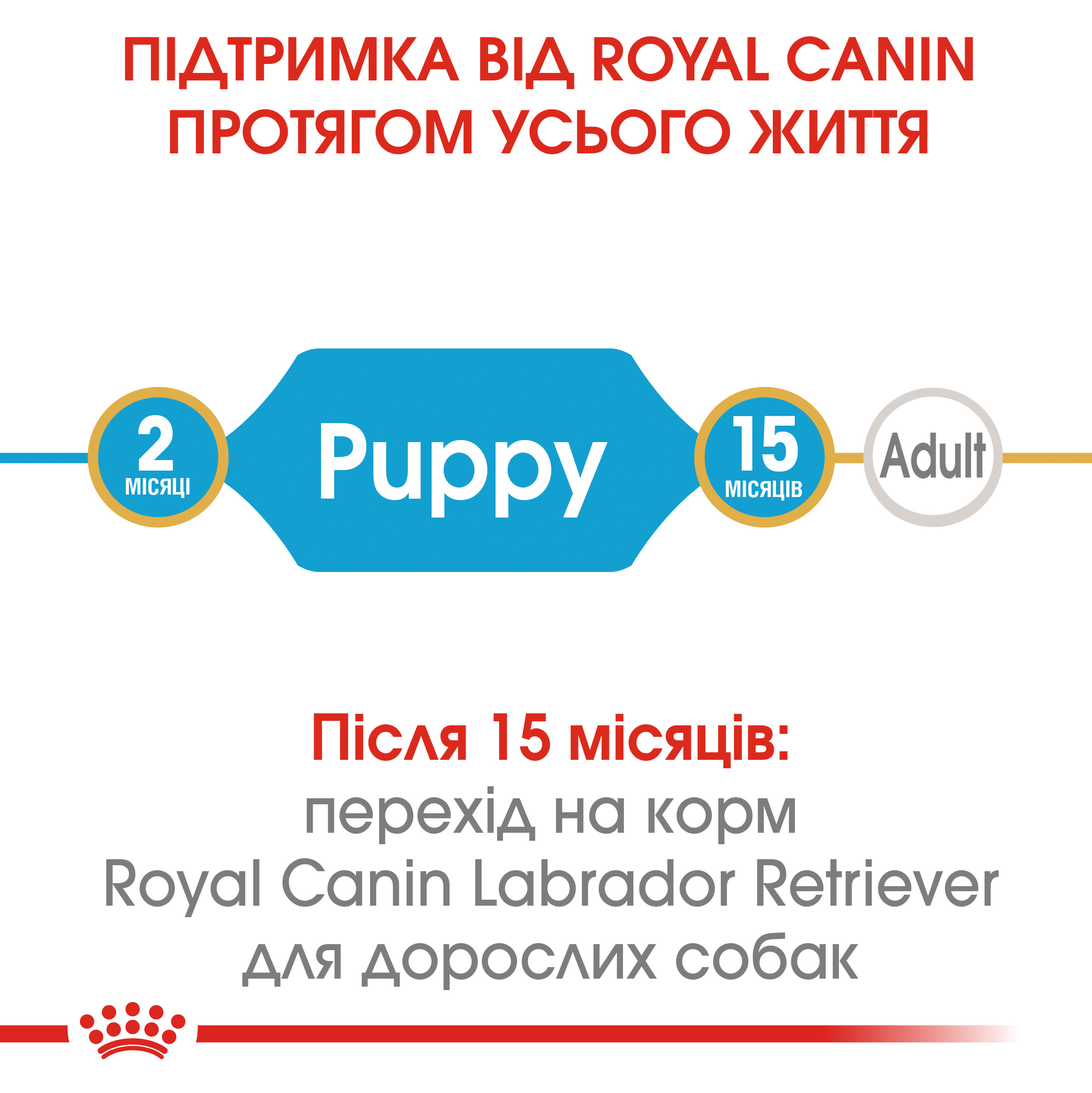 Сухий корм Royal Canin Labrador Retriever Junior для цуценят лабрадорів ретріверів 3кг