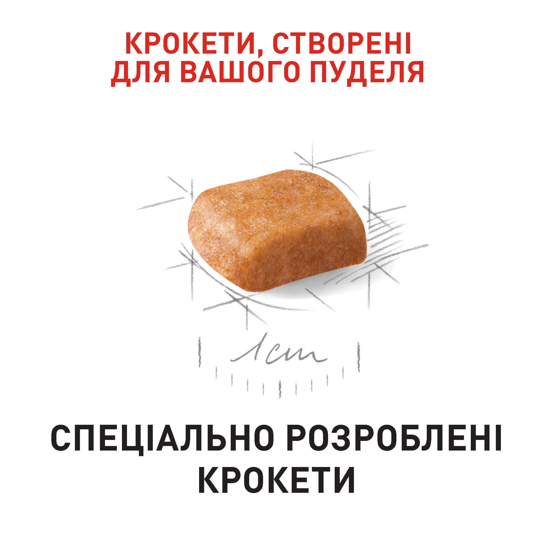 Сухий корм Royal Canin Poodle Puppy для цуценят породи Пудель 500 г