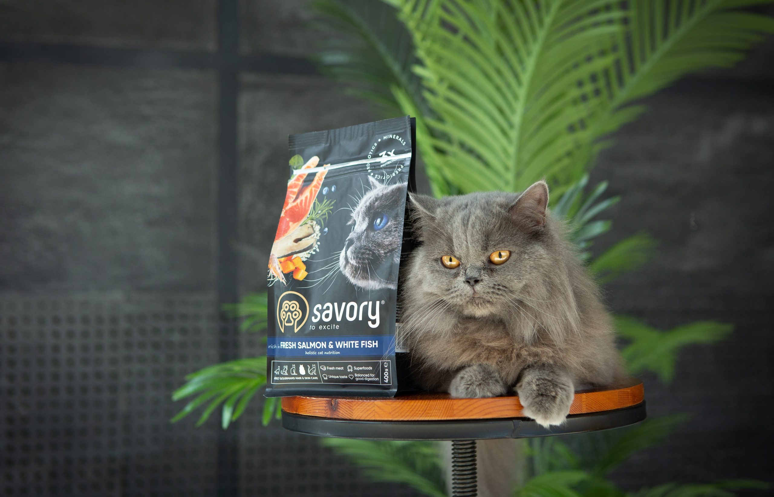 Сухий корм Savory Adult Cat Gourmand Fresh Salmon & White Fish для котів з довгою шерсттю 2кг