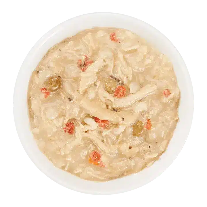 Вологий корм Schesir Taste the World Chicken Thai Coconut для собак з куркою по-тайськи,150 г