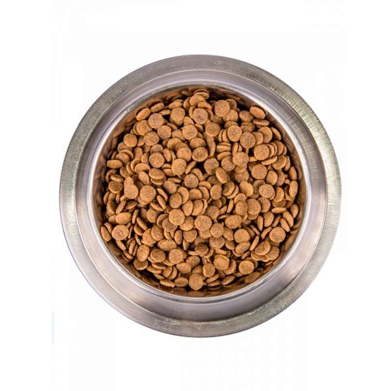 Сухий корм Monge Cat Bwild Grain Free Adult для котів з лососем 1,5кг