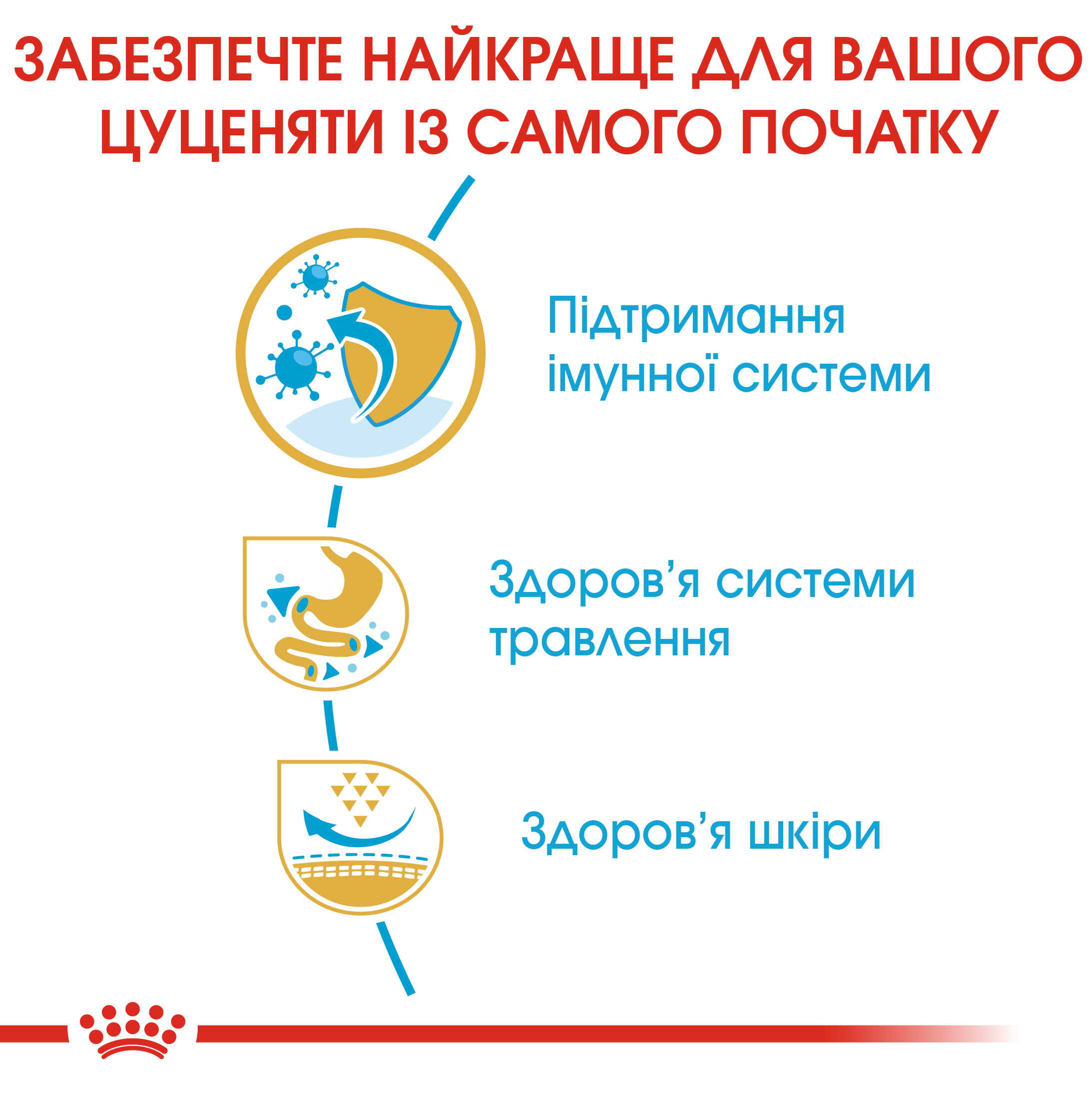 Сухий корм Royal Canin French Bulldog Junior для цуценят Французського бульдога 1кг