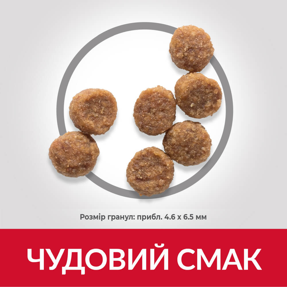 Сухий корм Hill's SP Puppy Small & Miniature Lamb & Rice для цуценят малих та мініатюрних порід з ягням 1.5 кг