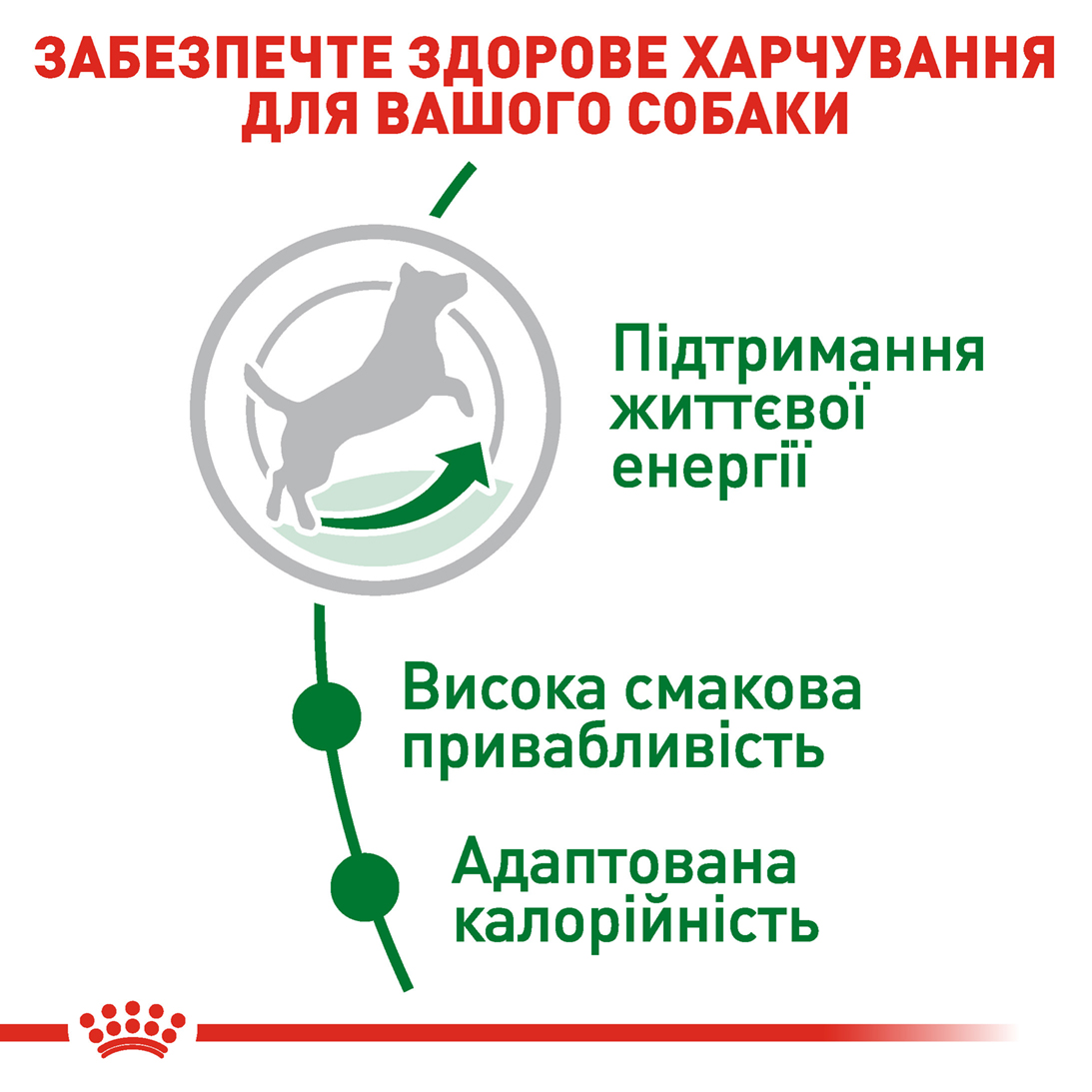 Сухий корм Royal Canin Mini Adult 8+ для дрібних собак похилого віку 800г
