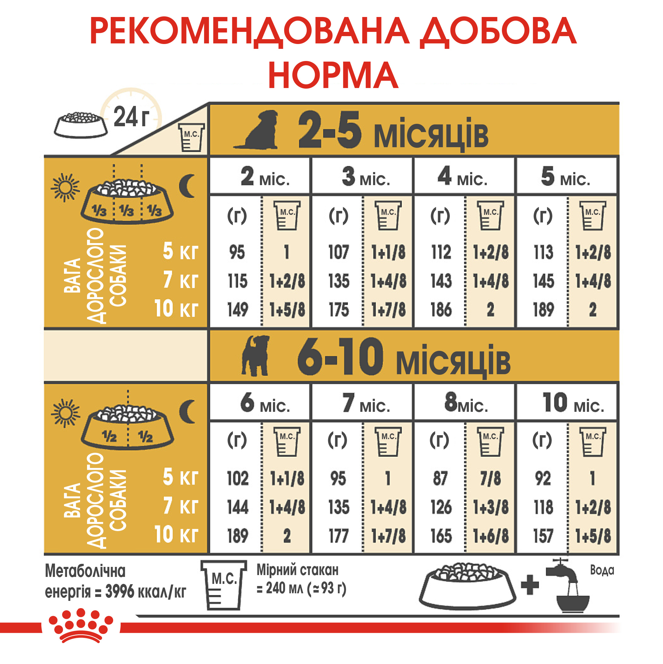 Сухий корм Royal Canin Jack Russel Terrier Junior для цуценят Джек-рассел-тер'єрів 1,5кг