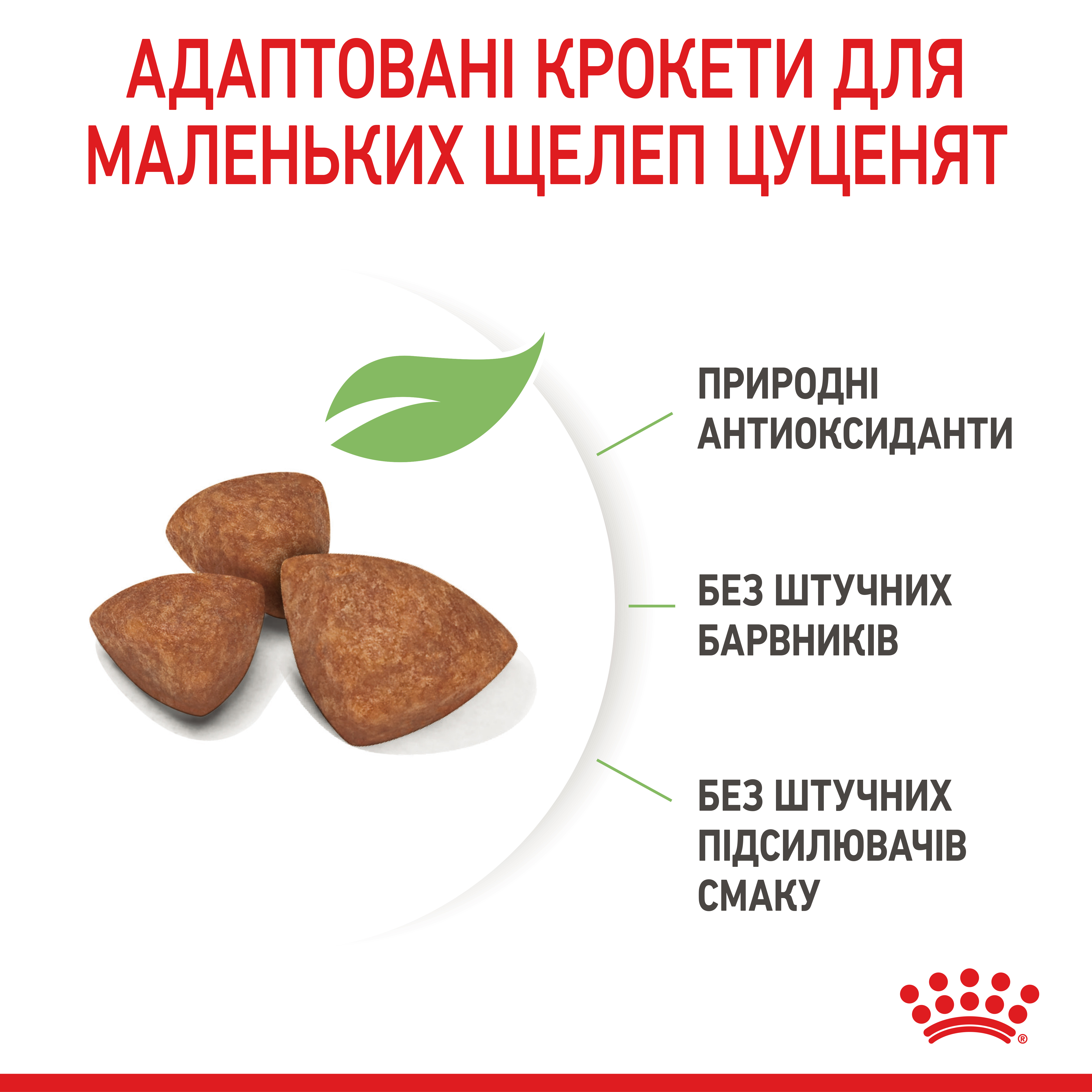 Сухий корм Royal Canin X-Small Puppy для цуценят мініатюрних порід 500г