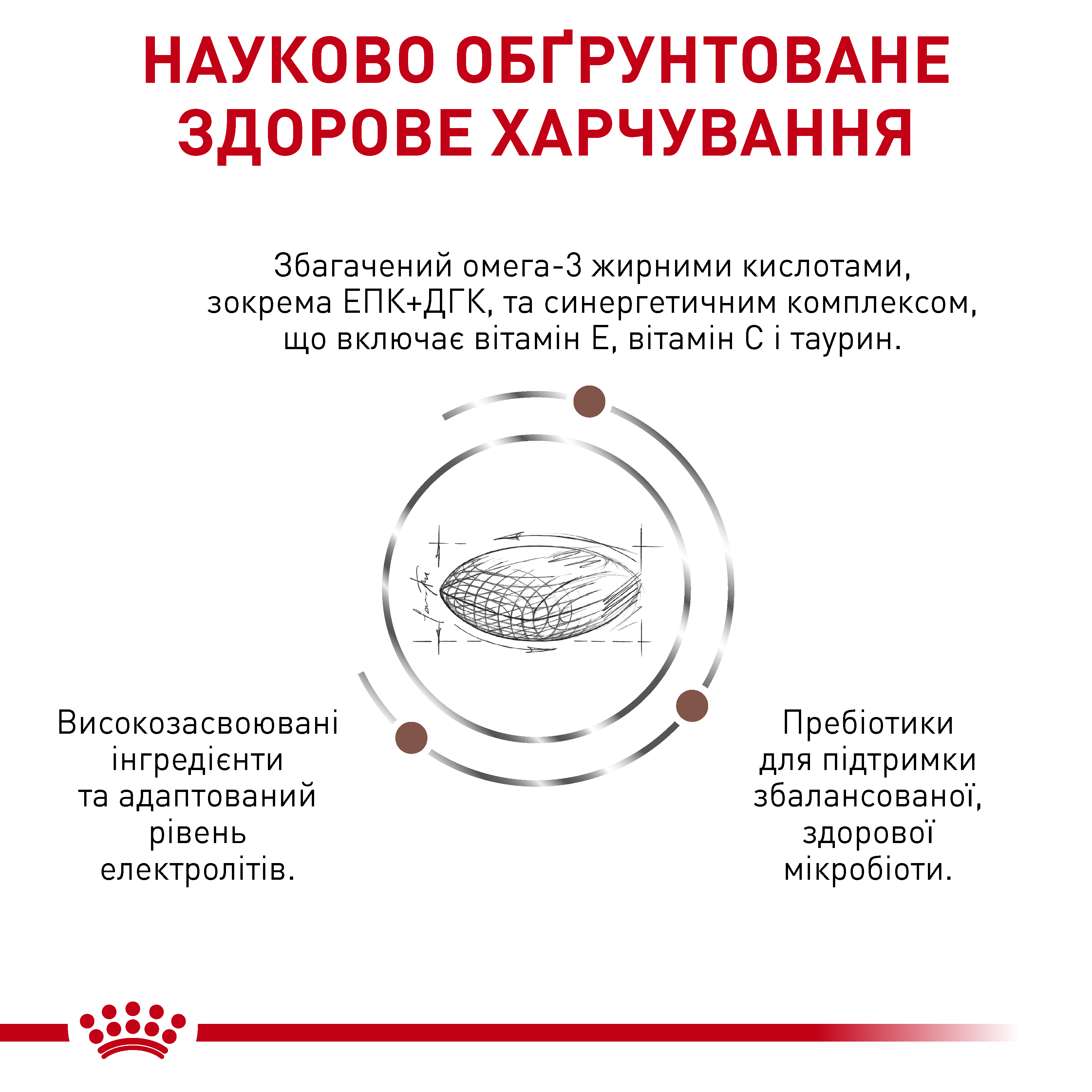 Акція Сухий корм Royal Canin Gastrointestinal Low Fat Small Dog зі зниженою жирністю для собак малих порід при порушеннях травлення 1.2 кг+300 г
