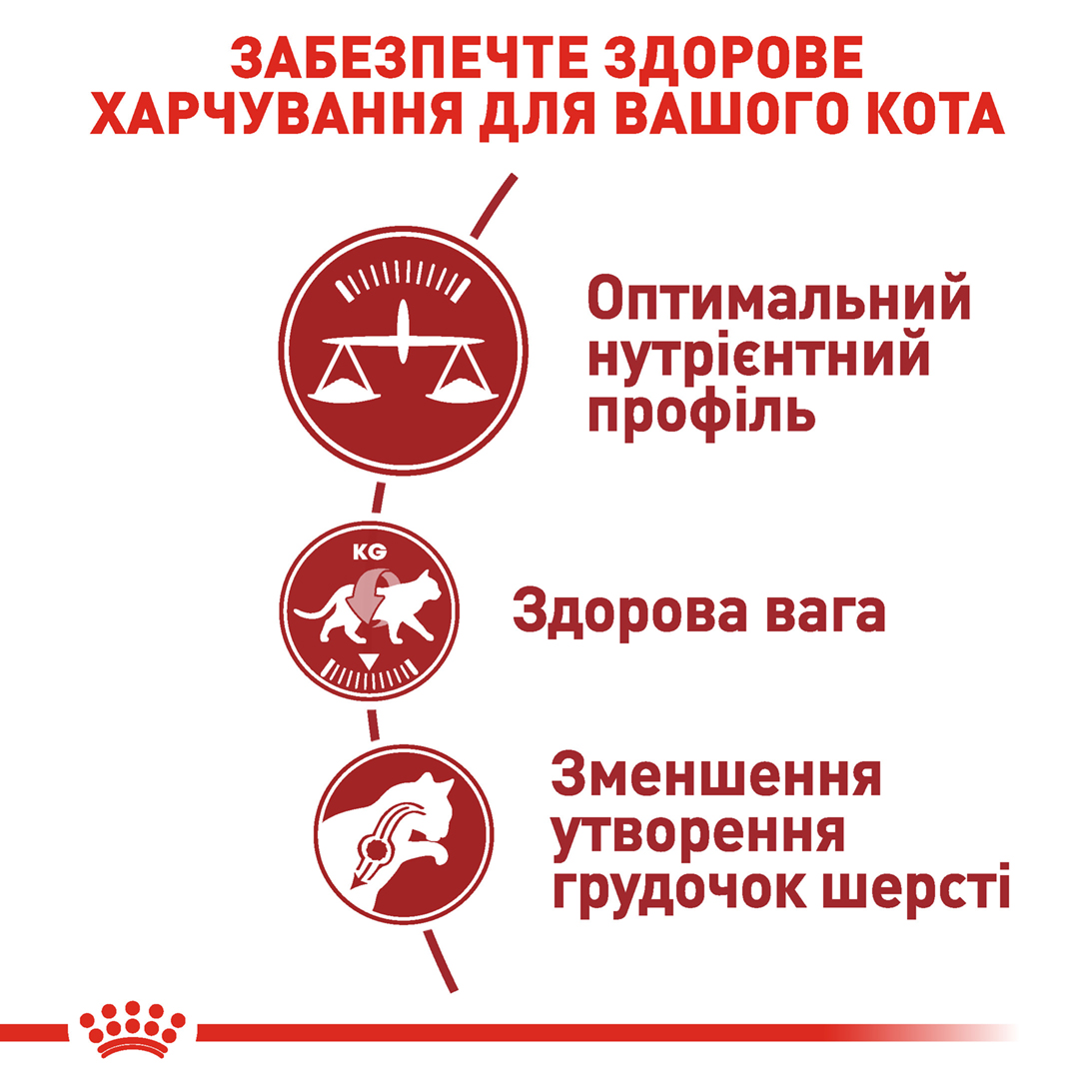 Сухий корм Royal Canin Fit 32 для котів активних 400г