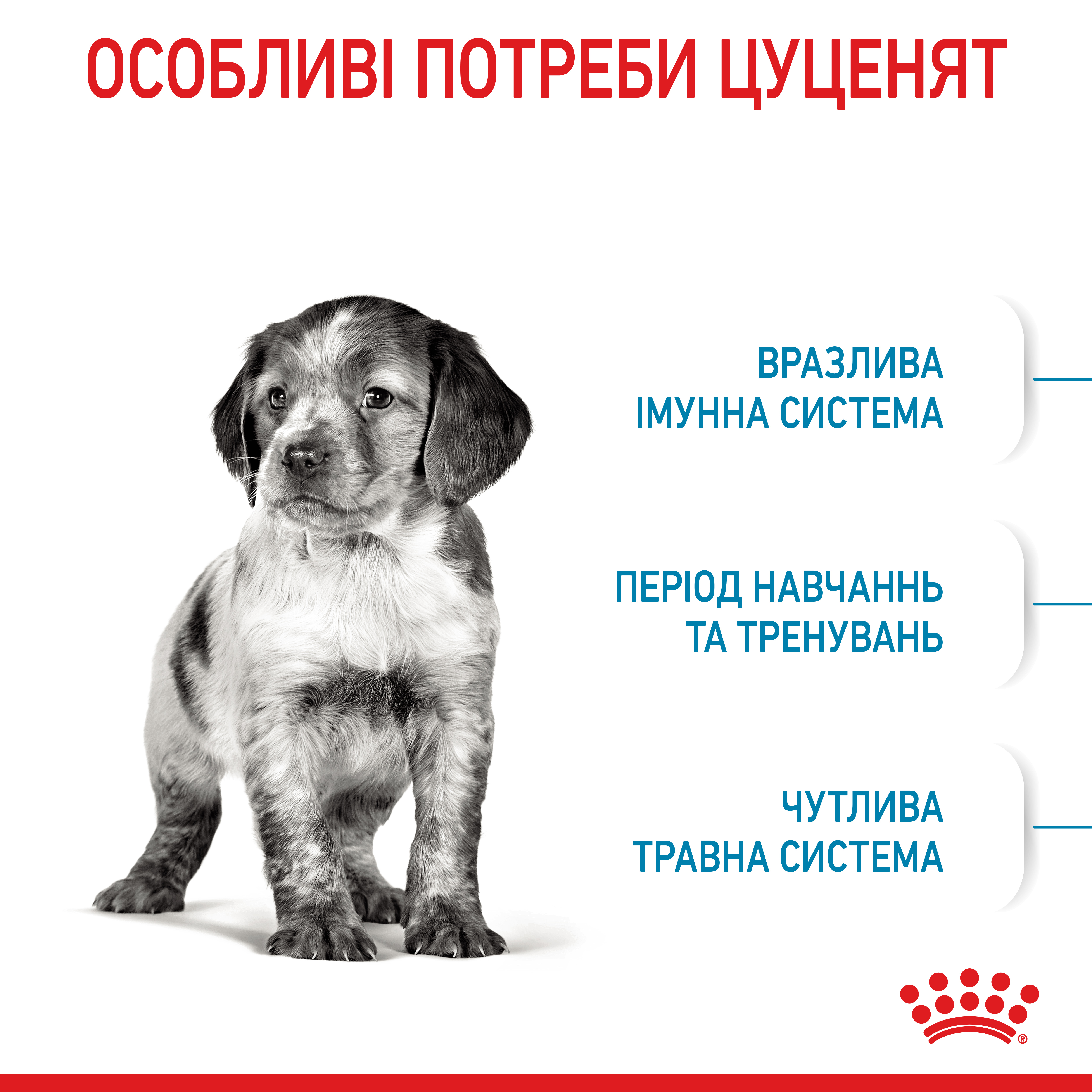 Сухий корм Royal Canin Medium Puppy для цуценят середніх порід 4кг