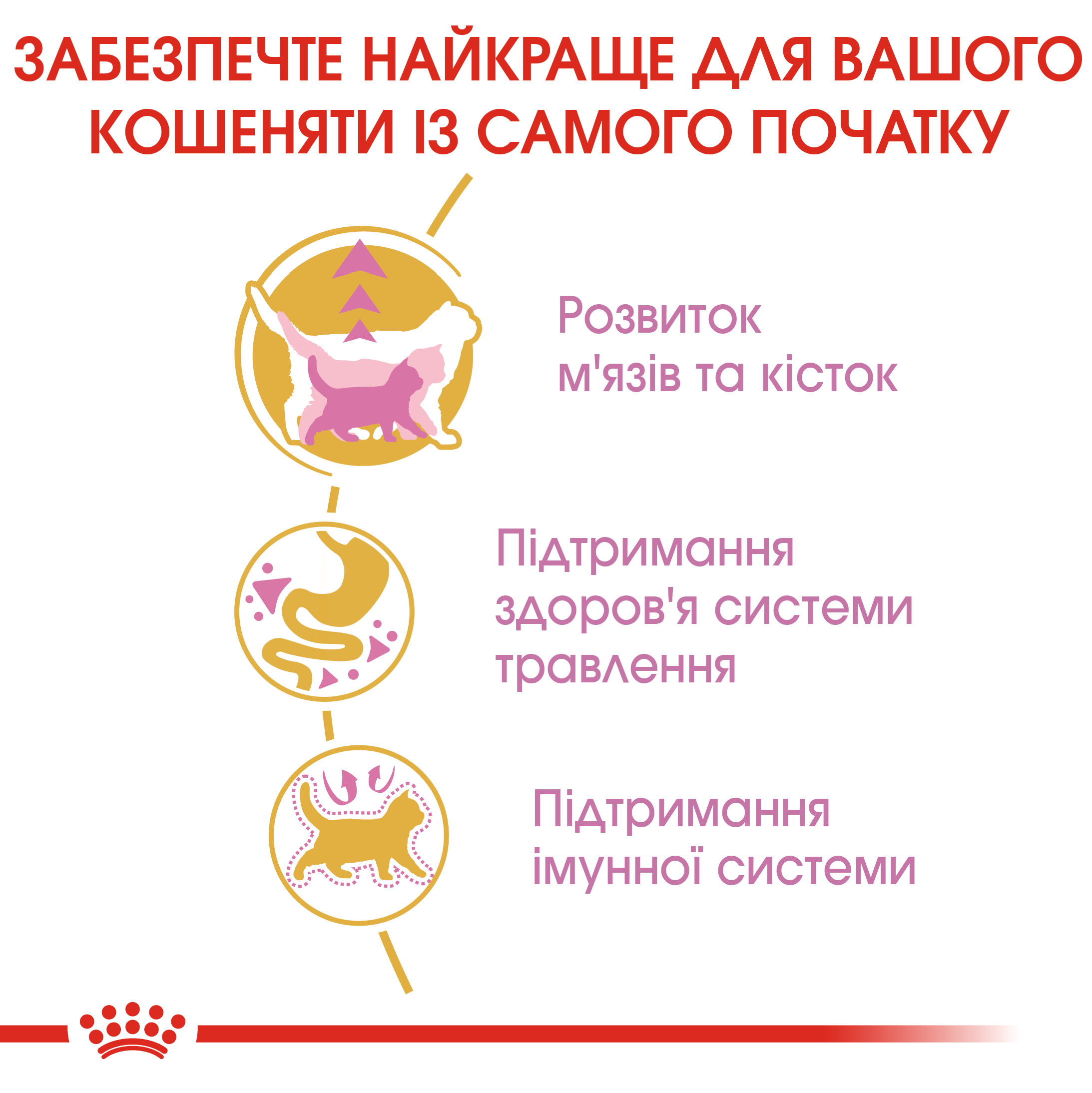 Сухий корм Royal Canin British Shorthair Kitten для кошенят породи Британська короткошерстна 400г