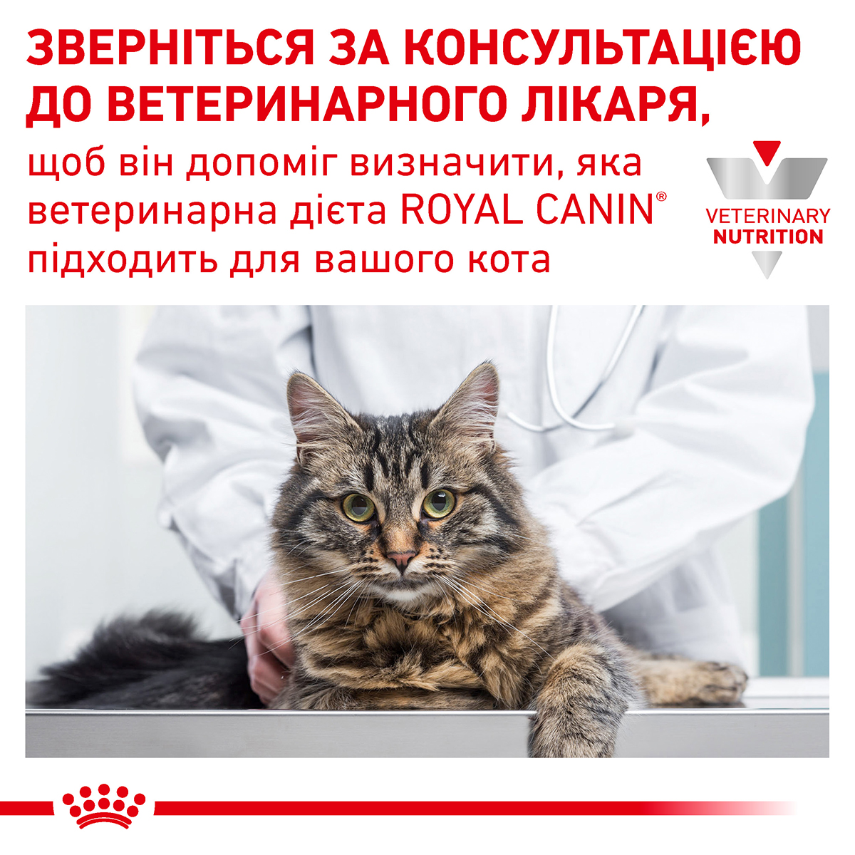 Сухий корм Royal Canin Satiety Weight Management Cat для котів контроль ваги 3,5кг