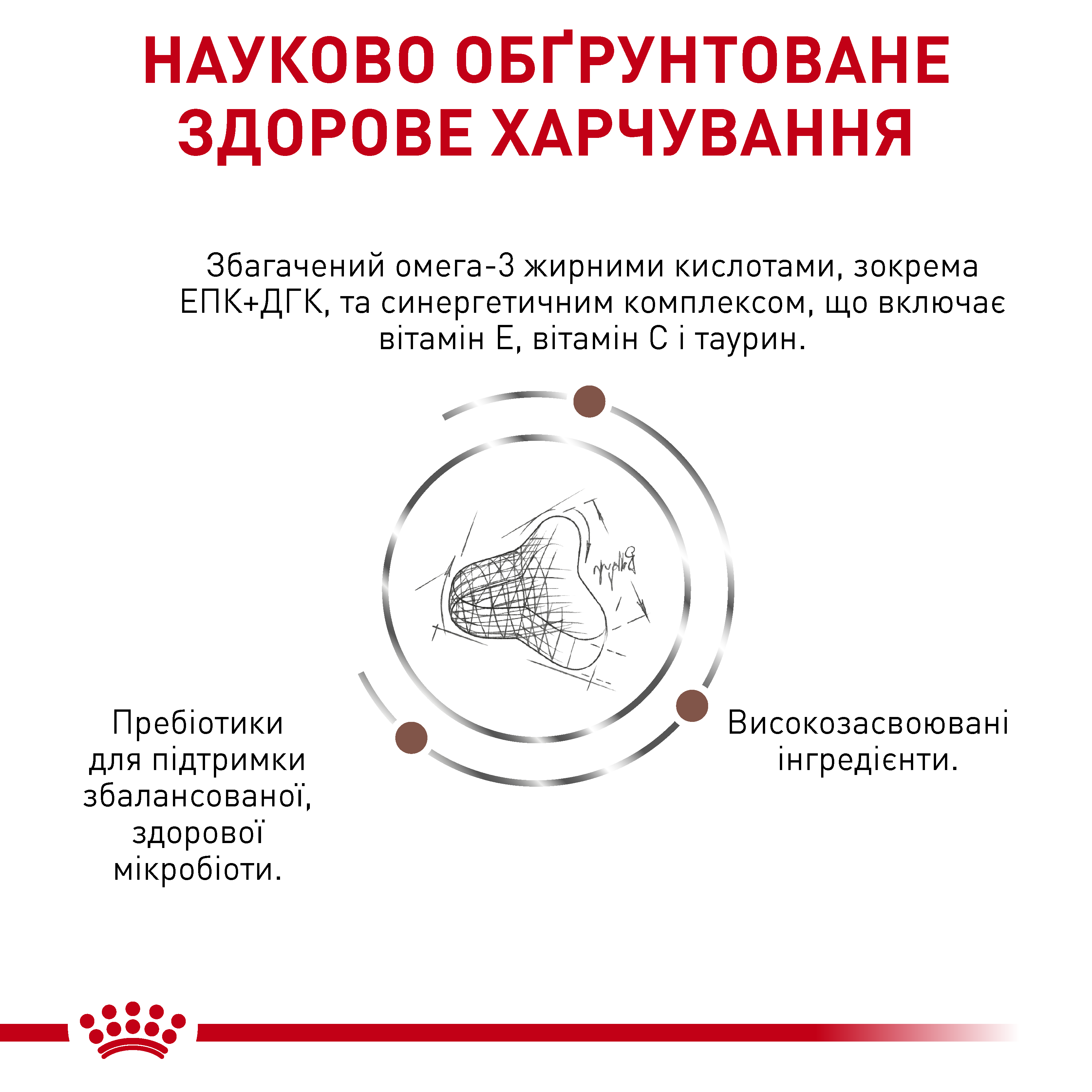 Сухий корм Royal Canin Gastrointestinal Fibre Response для котів при порушеннях травлення 4кг