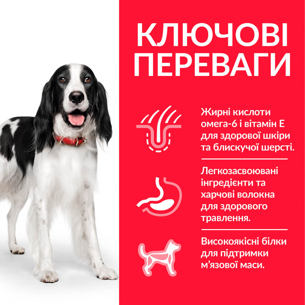 Сухий корм Hill's SP Canine Adult Medium Breed Chicken для дорослих собак середніх порід з куркою 2.5 кг