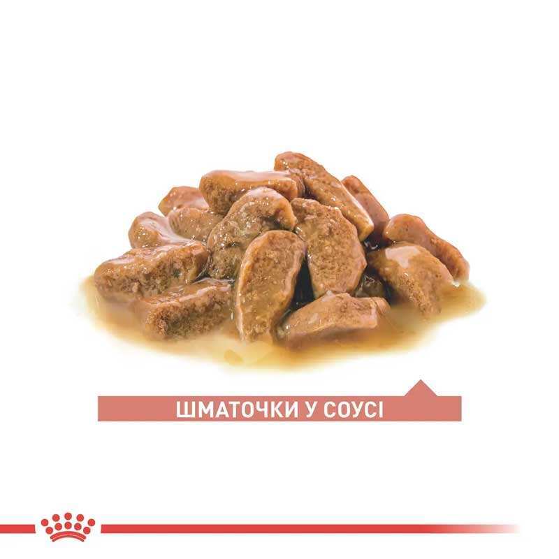 Вологий корм Royal Canin Ageing 11+ для літніх котів, шматочки в соусі,85 г