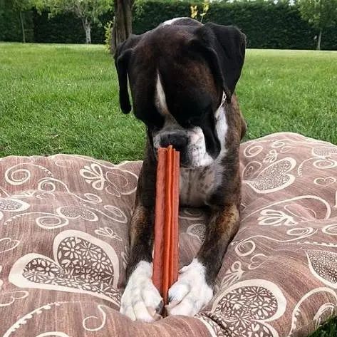 Whimzees Stix Ласощі у формі паличок для собаку M,1 шт