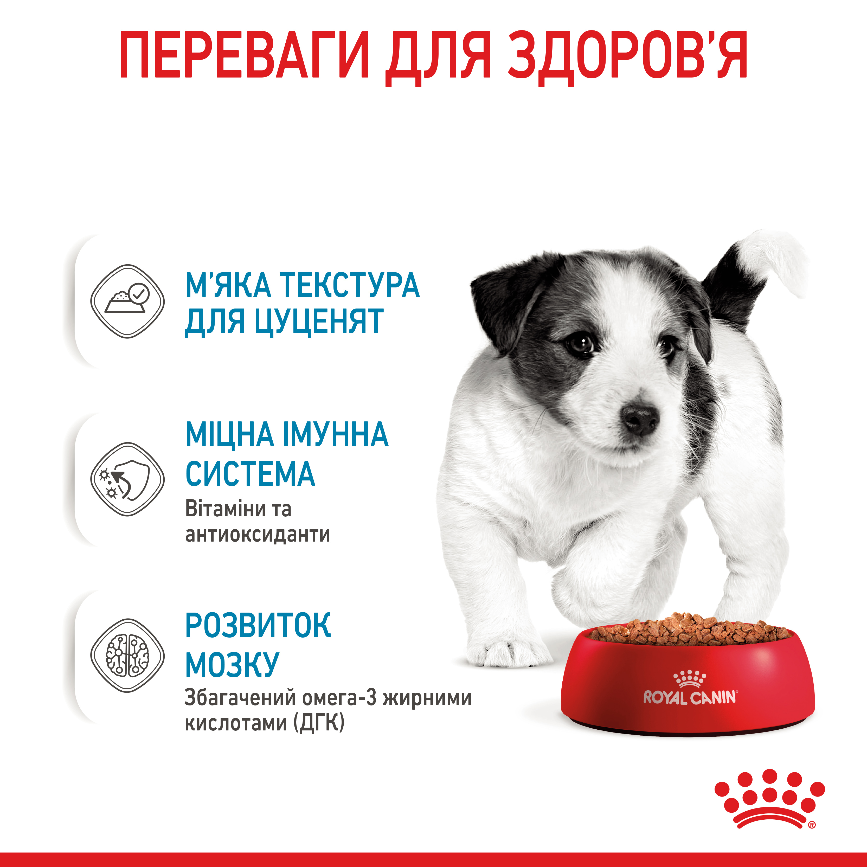 Вологий корм Royal Canin Mini Puppy для цуценят дрібних порід