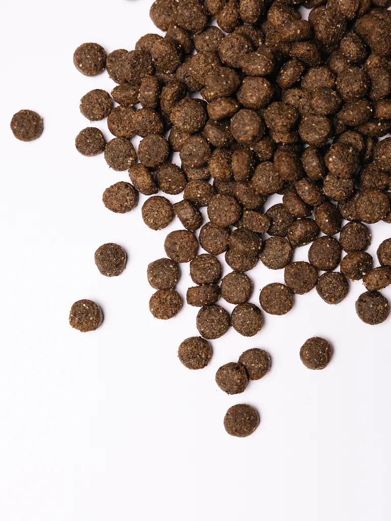 Сухий корм Savory Medium Breed rich in Fresh Turkey & Lamb для собак середніх порід 12кг