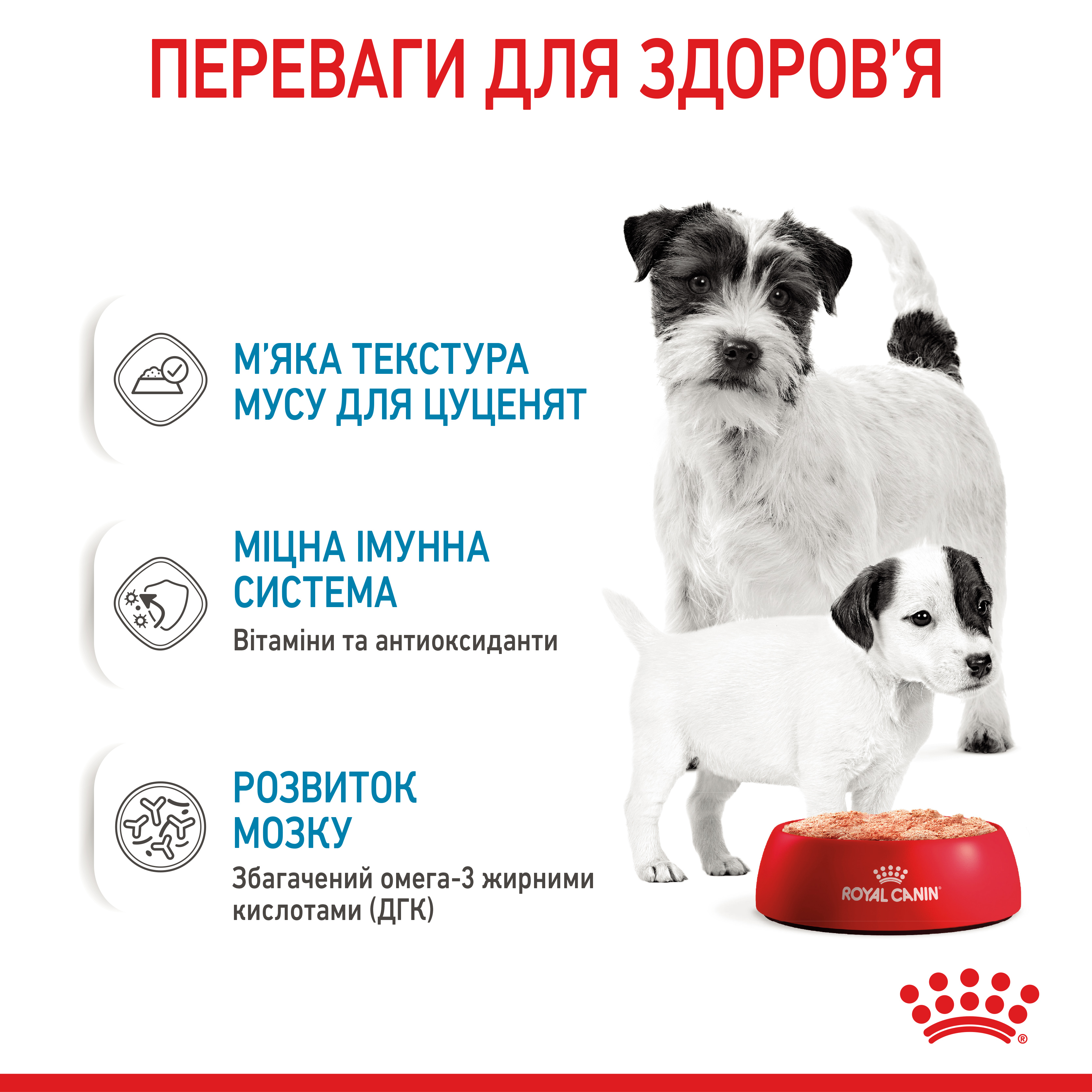 Вологий корм Royal Canin Starter Mousse для цуценят стартовий