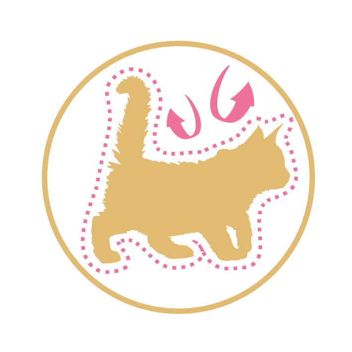 Сухий корм Royal Canin Maine Coon Kitten для кошенят мейн-кунів 2кг