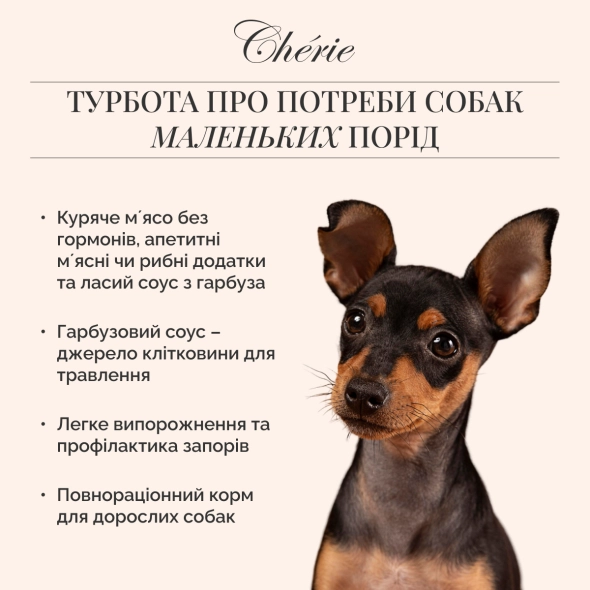 Вологий корм Cherie Small Breed Chicken&Sweet Potato in Pumpkin Gravy для собак курка з бататом в гарбузовому соусі, 80 г