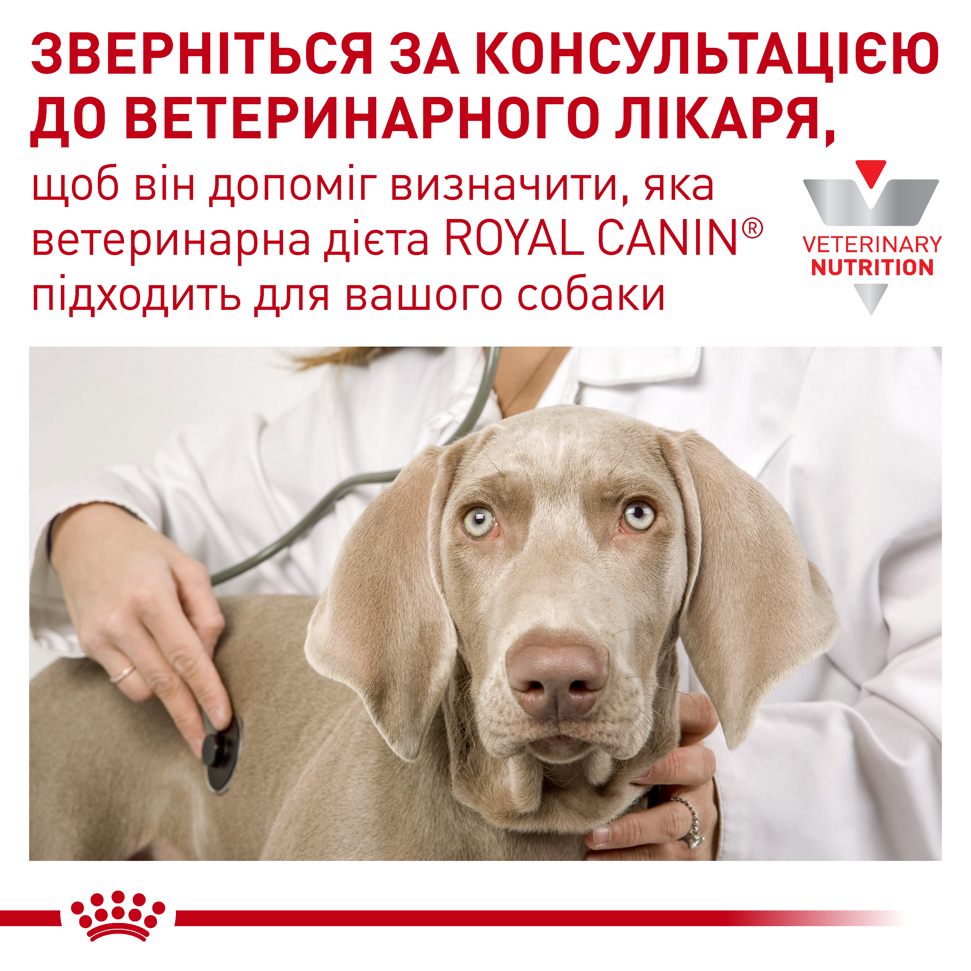 Рідкий корм Royal Canin Recovery Liquid Dog and Cat