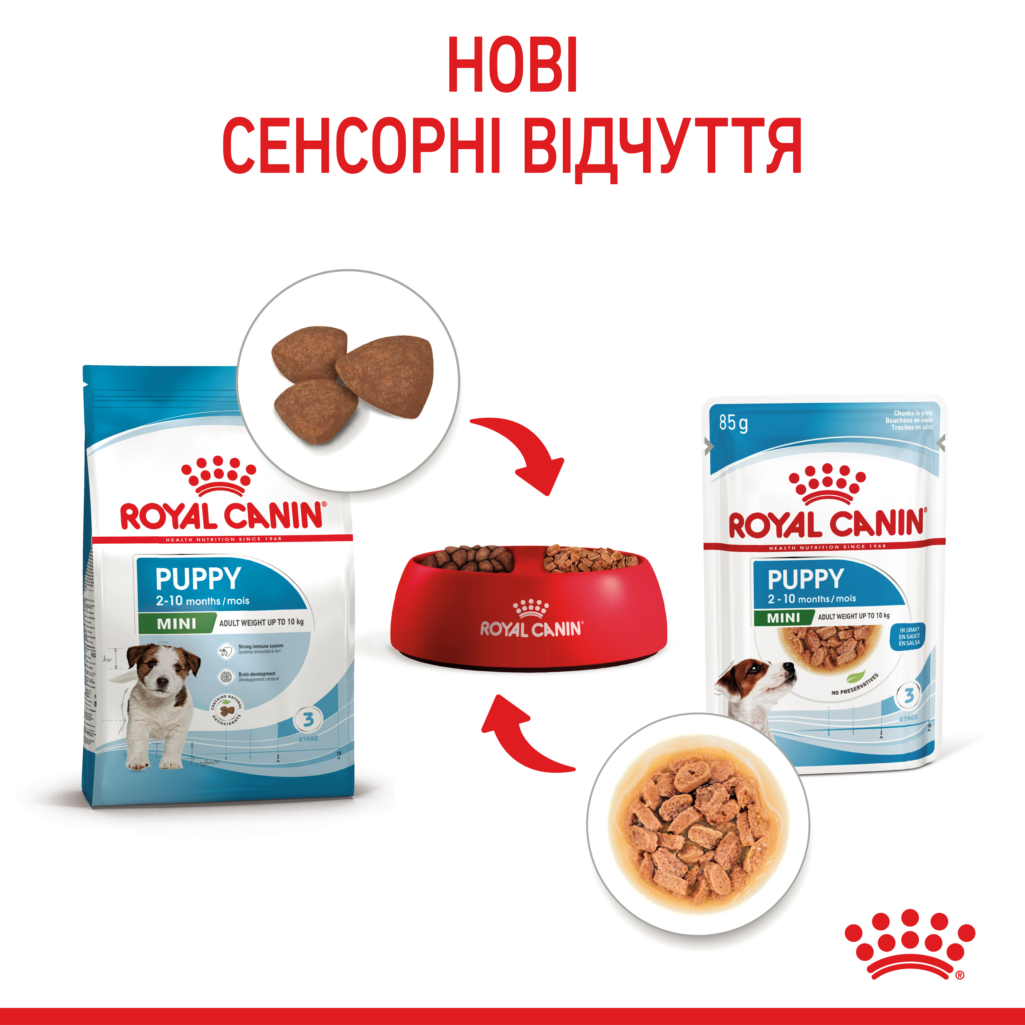 Вологий корм Royal Canin Mini Puppy для цуценят дрібних порід