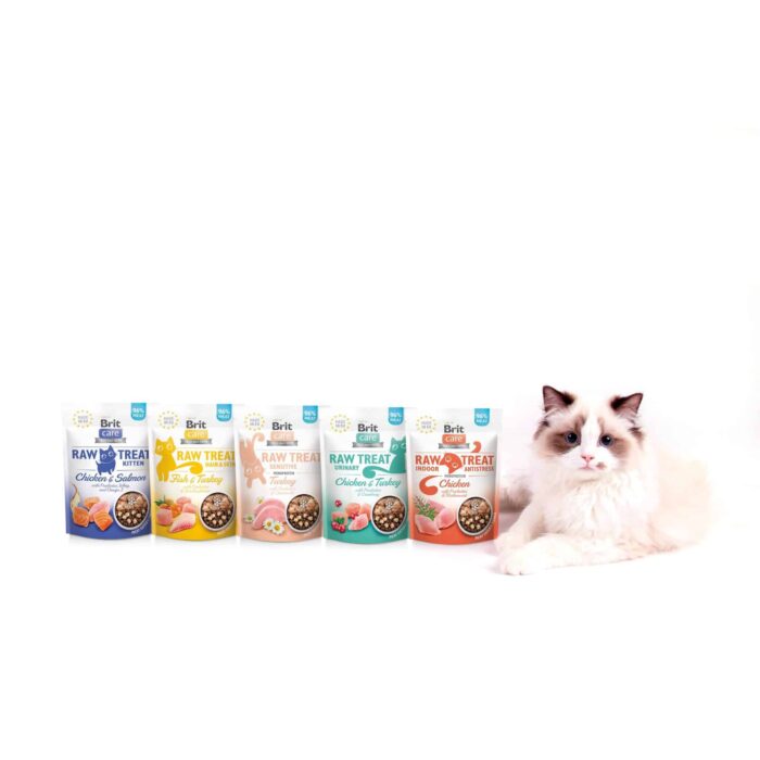 Brit Care Cat Raw Treat freeze-dried Sensitive Ласощі для котів із чутливим травленням з індичкою,40 г
