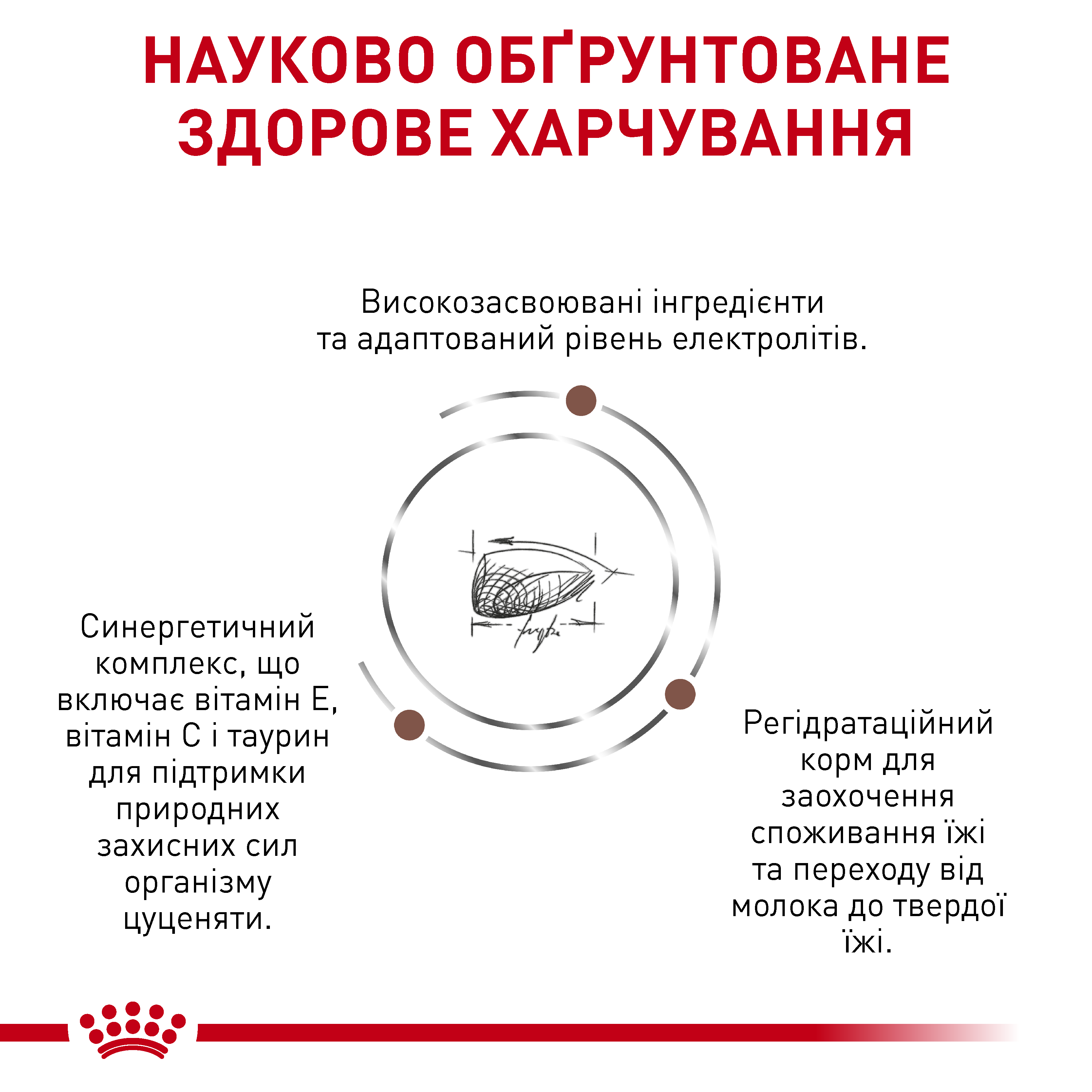Сухий корм Royal Canin Gastro Intestinal Junior для цуценят при порушеннях травлення 2,5кг