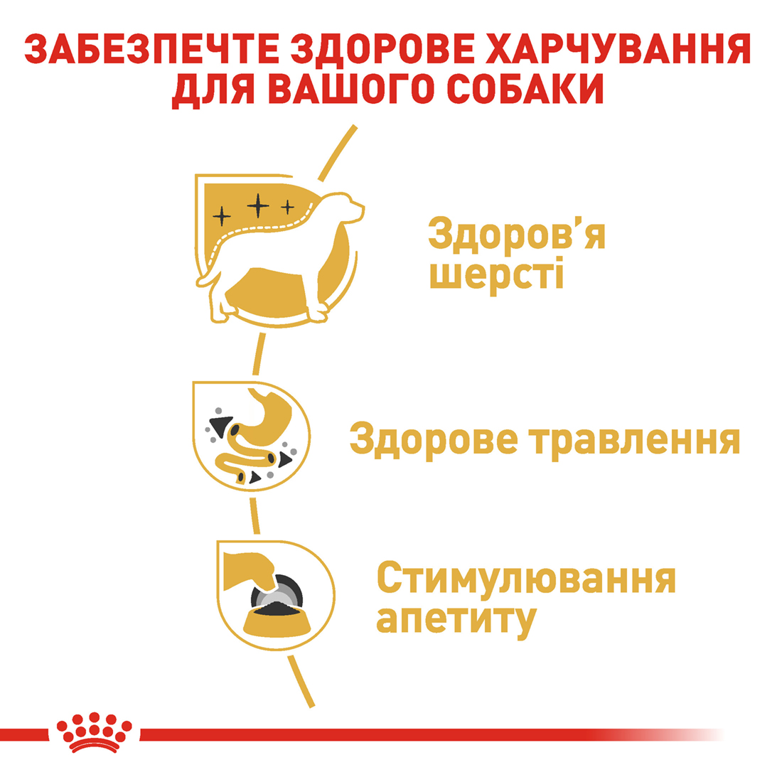 Вологий корм Royal Canin Chihuahua для собак породи Чихуахуа 85 g