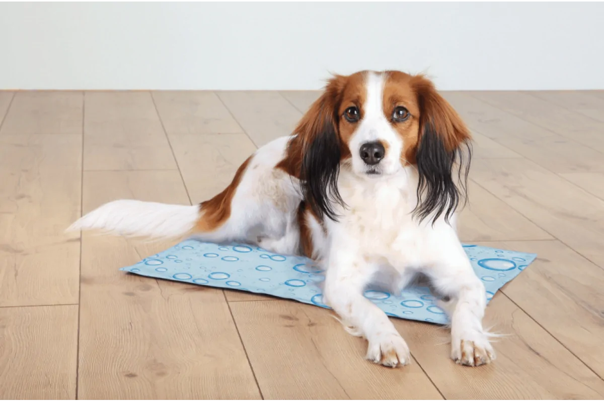 Trixie Cooling Mat Підстилка охолоджувальна для собак та котів 30х40 см, S
