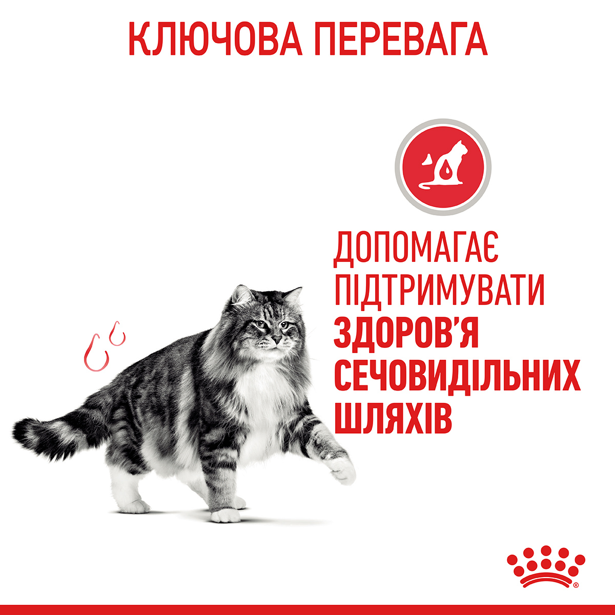 Сухий корм Royal Canin Urinary Care Cat для котів профілактика утворення кристалів в сечі 2кг