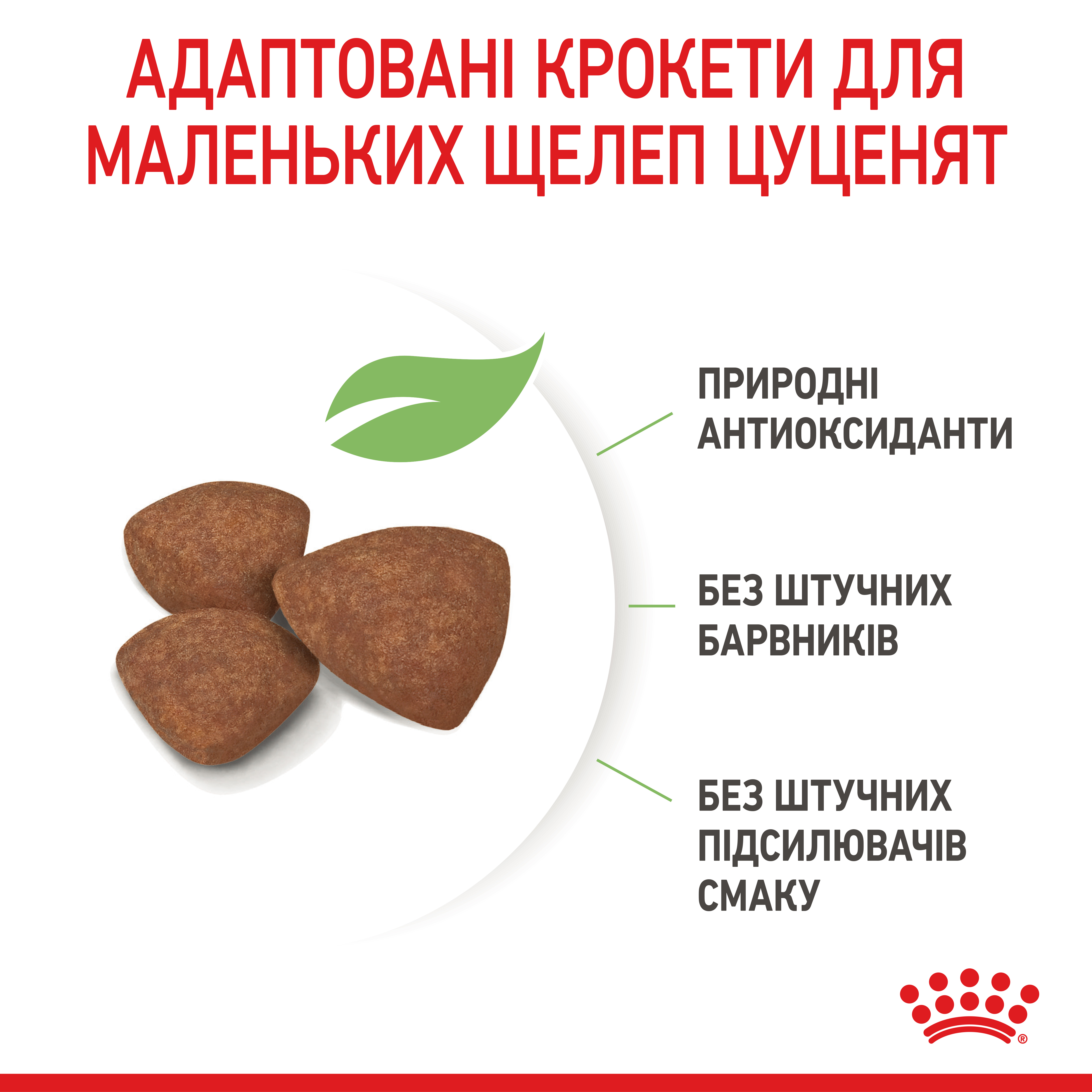 Сухий корм Royal Canin Mini Puppy для цуценят дрібних порід 2кг