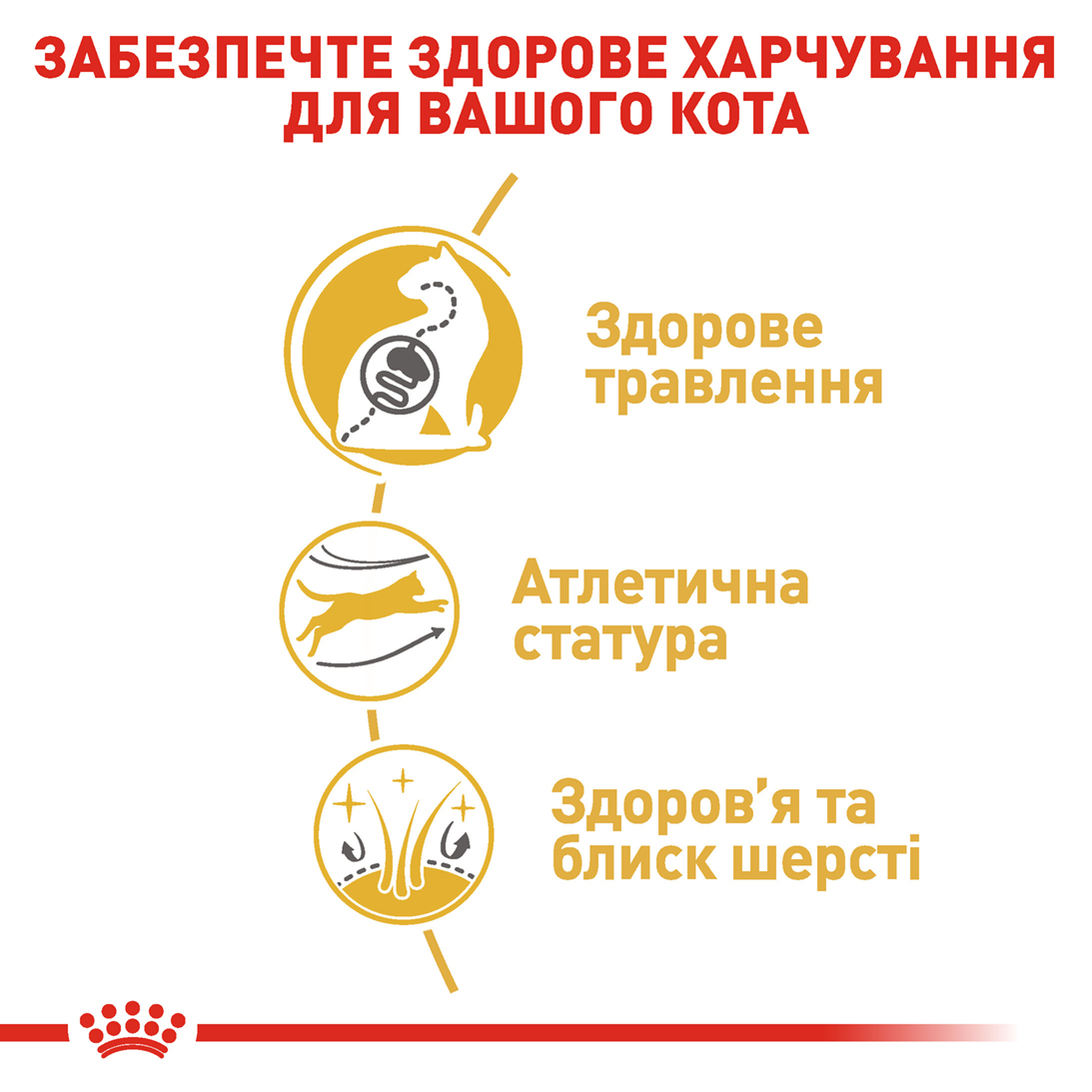 Сухий корм Royal Canin Bengal для котів породи Бенгальська 400г