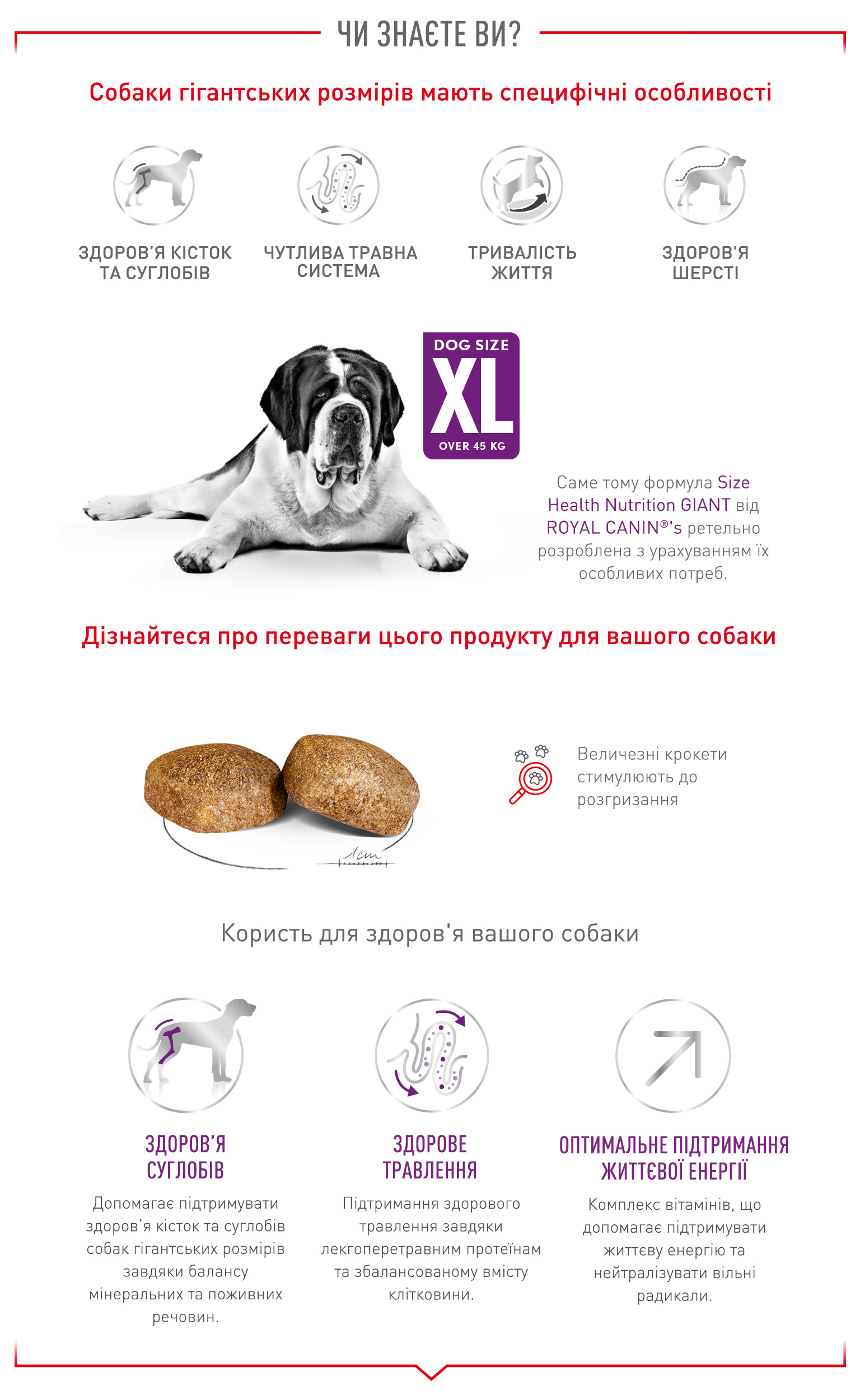 Сухий корм Royal Canin Giant Adult для собак гігантських порід 4кг
