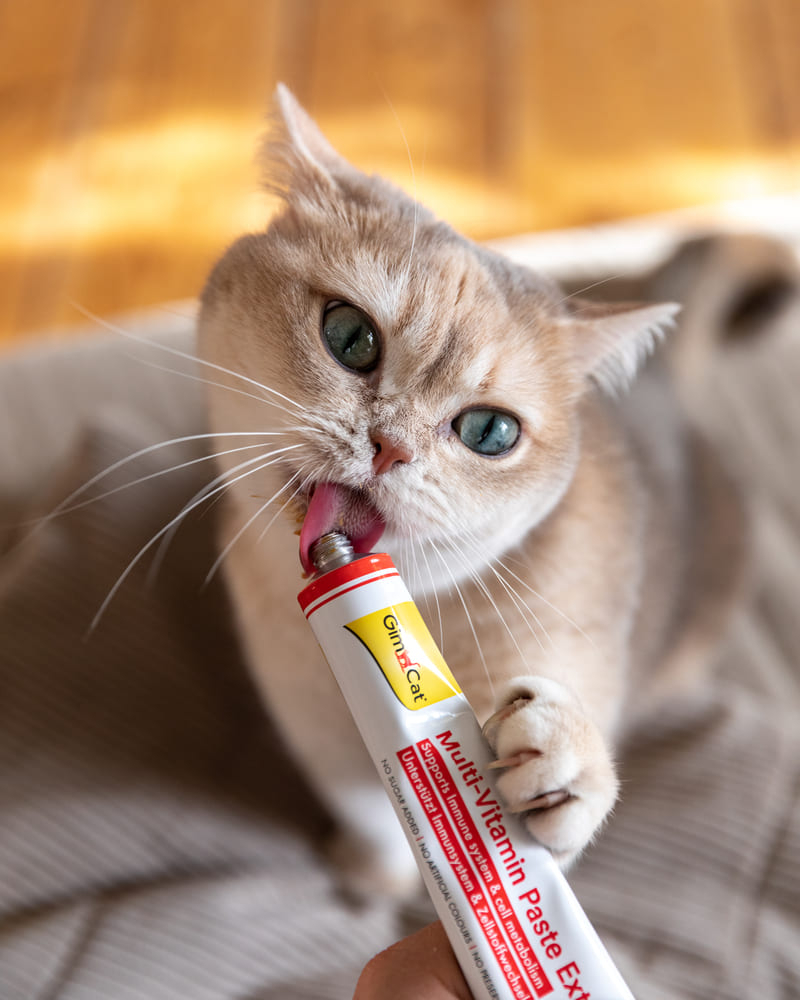 GimCat Multi-Vitamin Paste Extra Мультивітамінна паста для котів 200г
