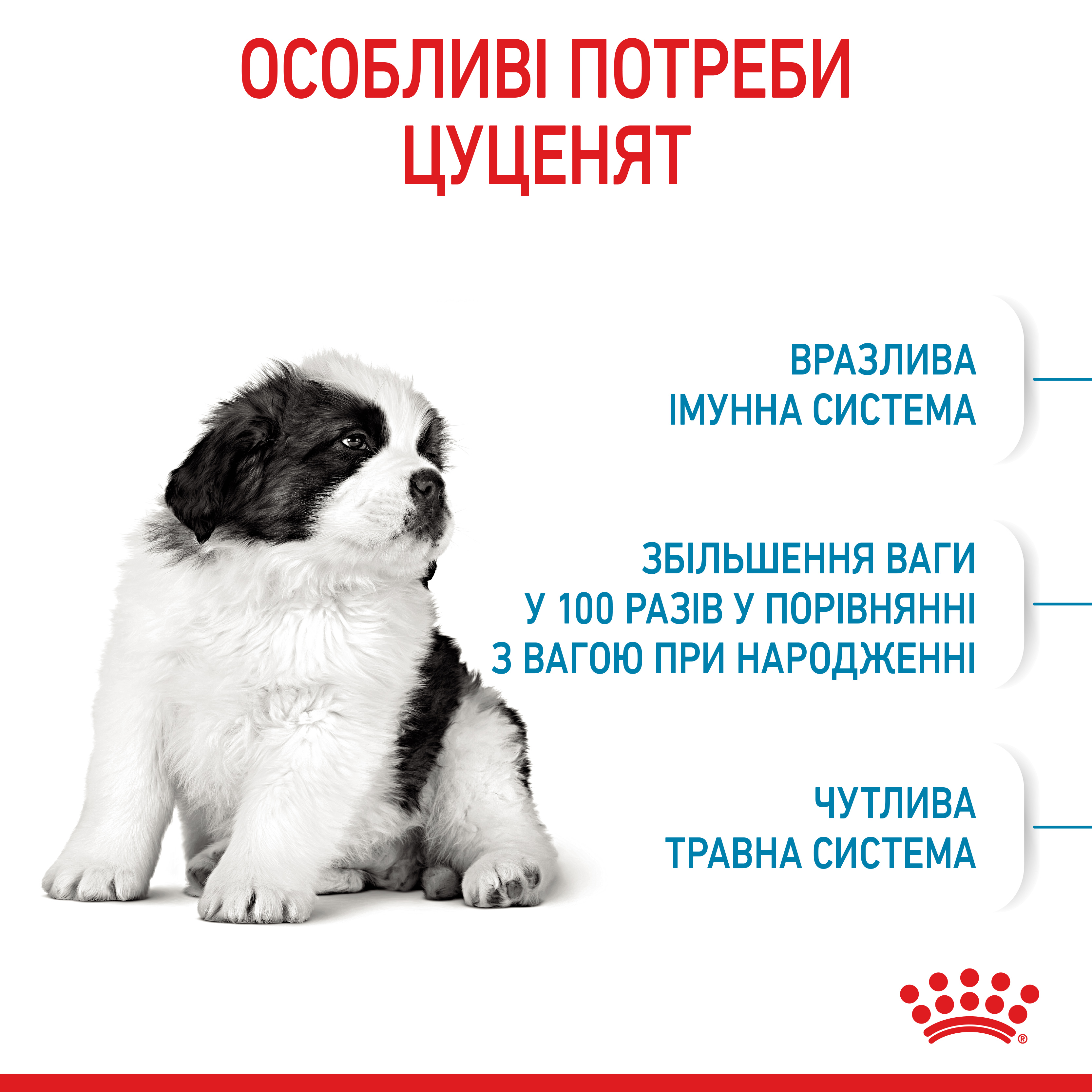 Сухий корм Royal Canin Giant Puppy для цуценят гігантських порід від 2 до 8 місяців 15кг