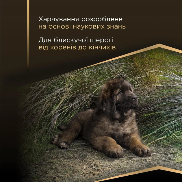 Сухий корм Purina Pro Plan Large Robust Puppy Sensitive Skin для цуценят великих порід масивної статури з чутливою шкірою,з лососем 12 кг