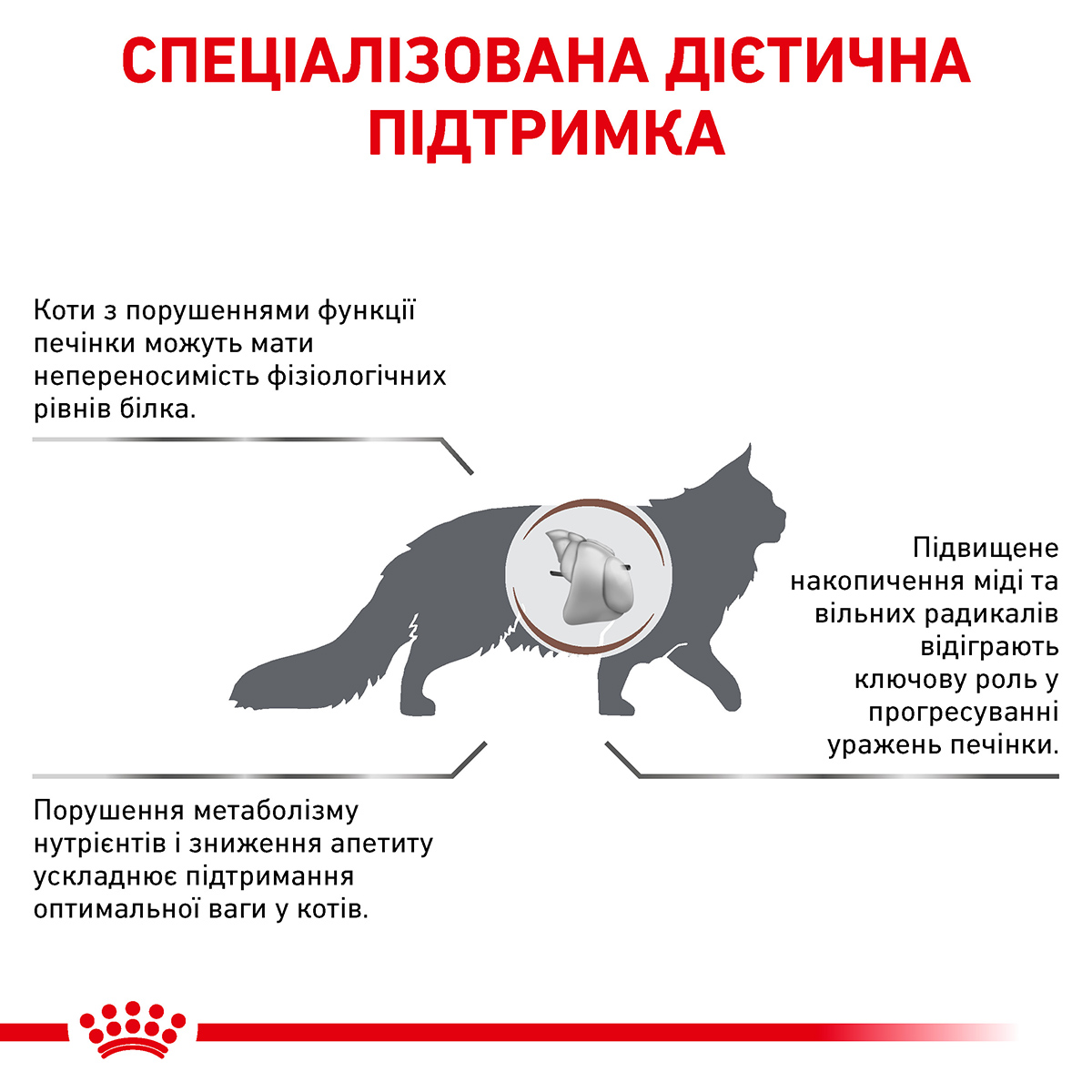 Сухий корм Royal Canin Hepatic Cat HF26 для котів при захворюваннях печінки 2кг