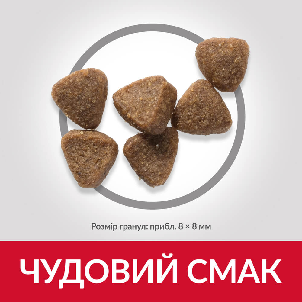 Сухий корм Hill's SP Kitten Tuna для кошенят з тунцем 300г