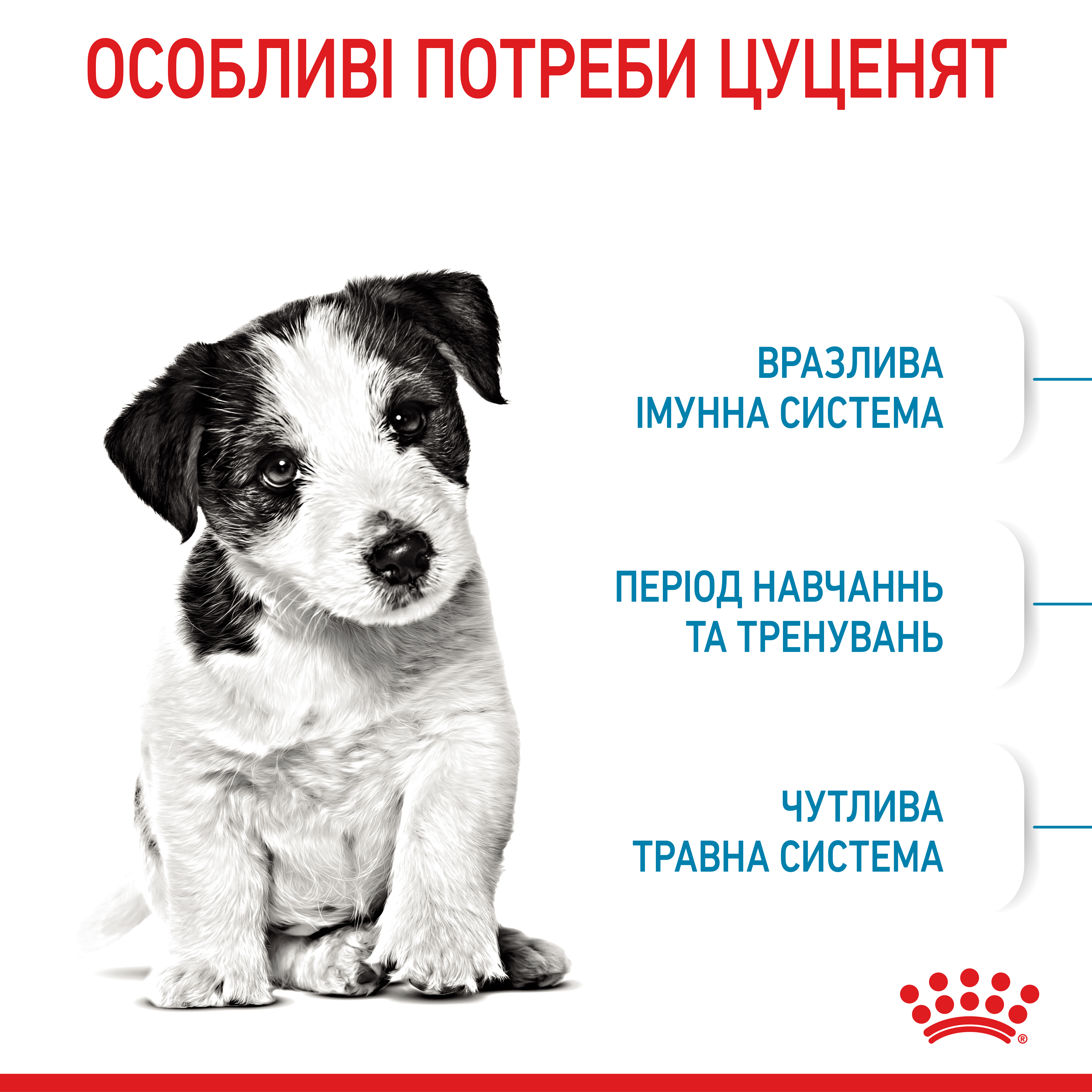 Сухий корм Royal Canin Mini Puppy для цуценят дрібних порід 2кг