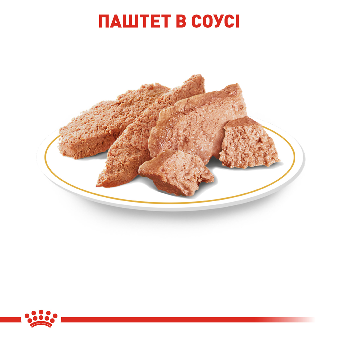 Вологий корм Royal Canin Yorkshire Terrier для собак породи йоркширський тер'єр