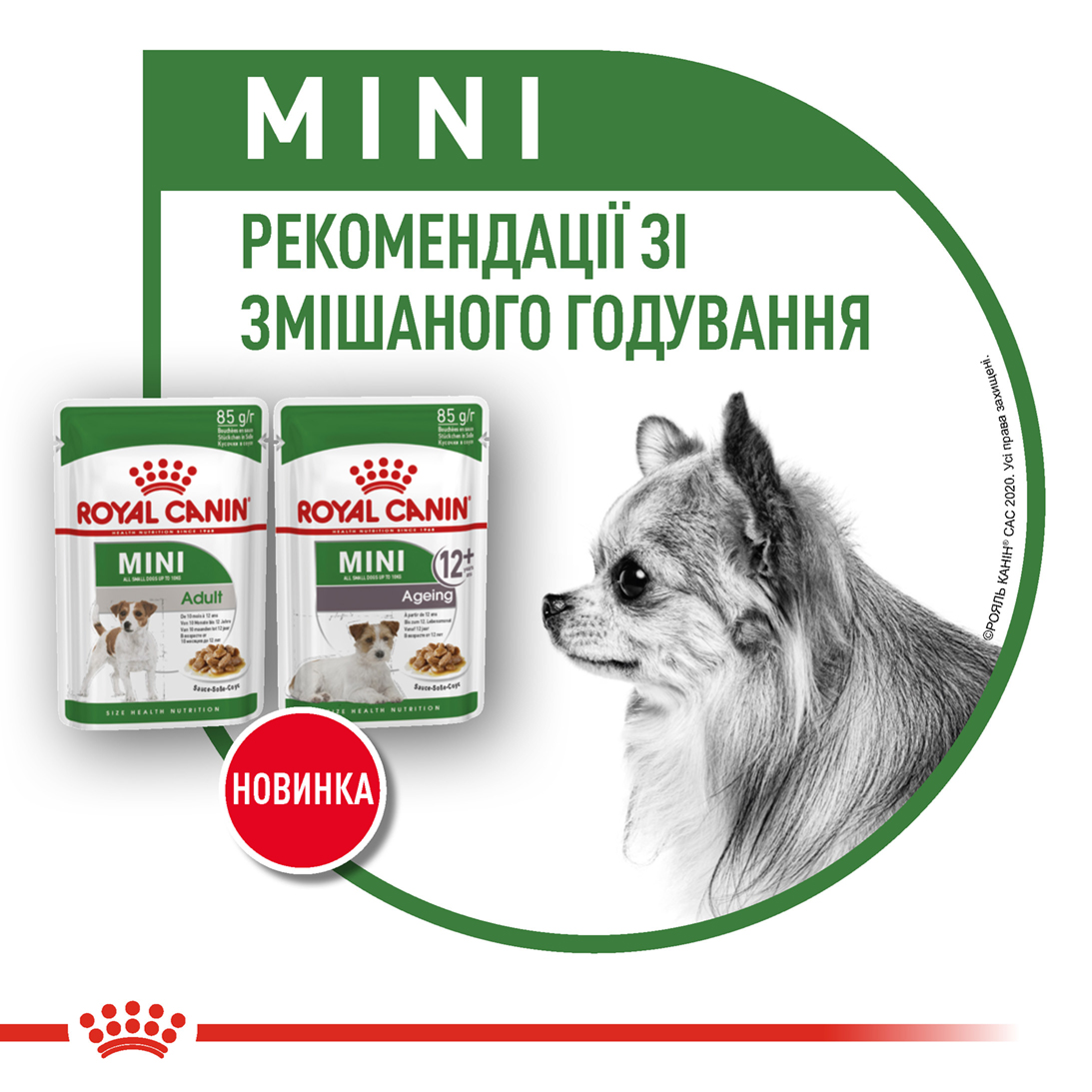 Вологий корм Royal Canin Mini Adult для собак дрібних порід